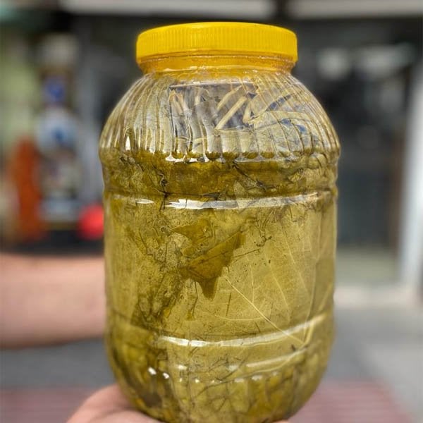 Hatay Yörem Asma Yaprağı 2 KG Bidon