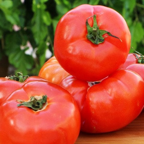 Hatay Yörem Samandağ Domates 1 Kg.