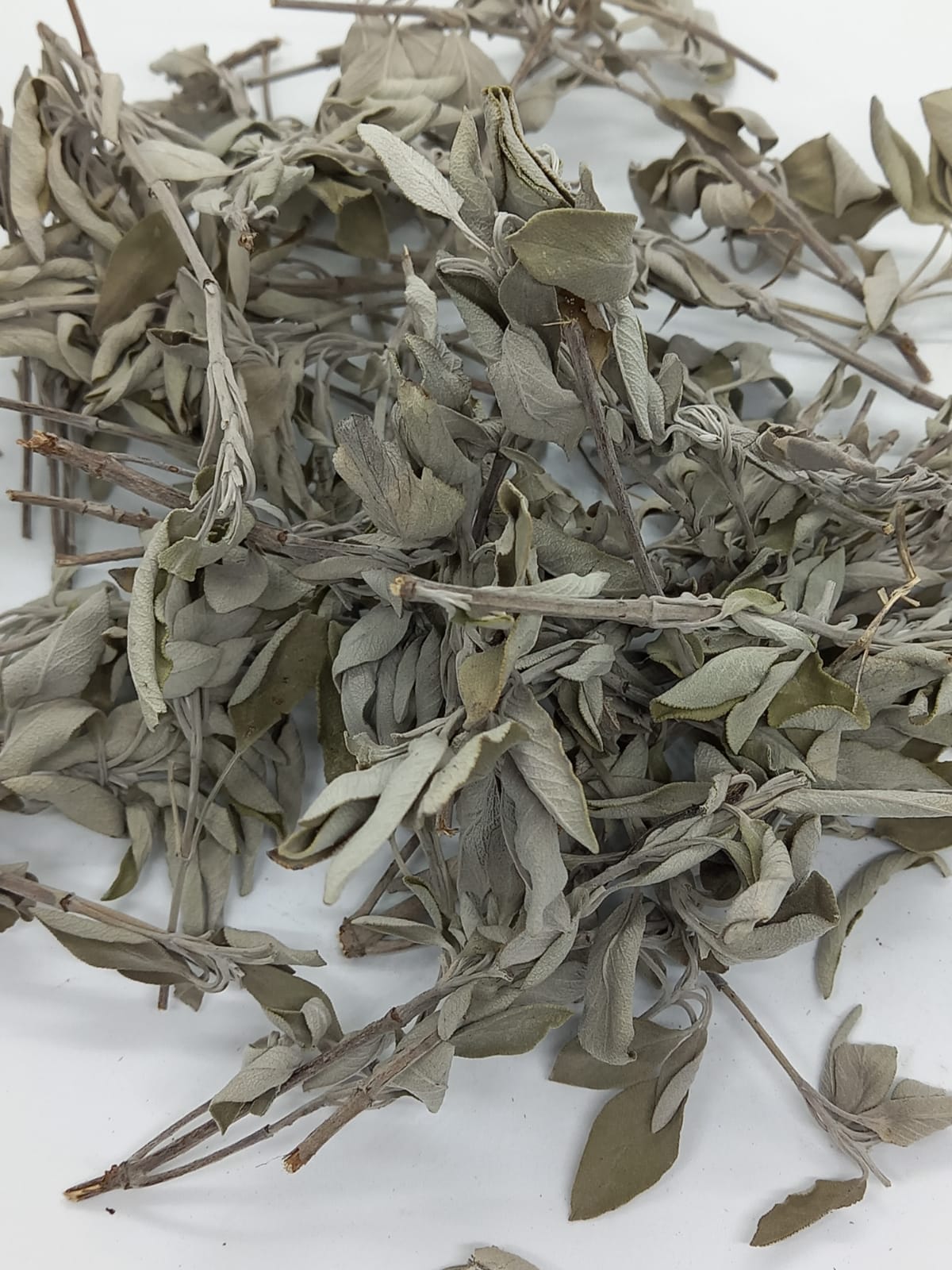 Hatay Yörem Adaçayı 100 Gr