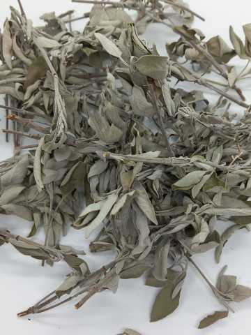 Hatay Yörem Adaçayı 100 Gr