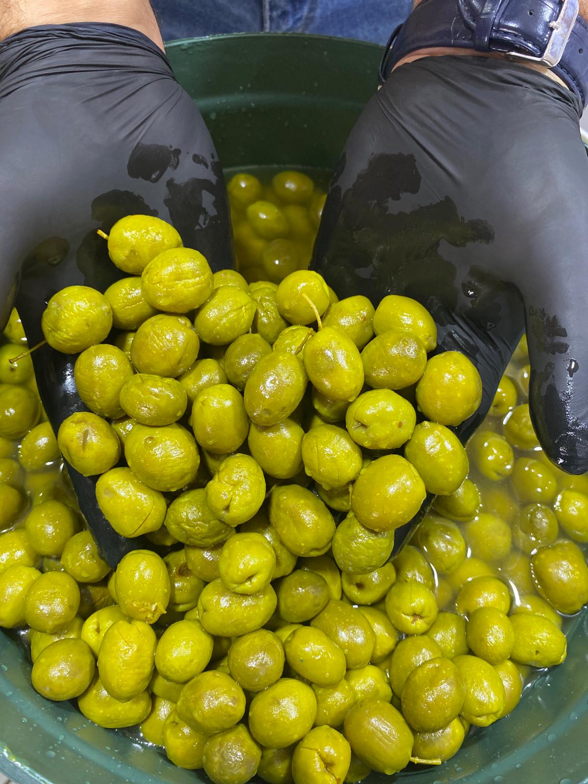 HATAY KIRMA ZEYTİN BÜYÜK BOY KOVA 13 KG