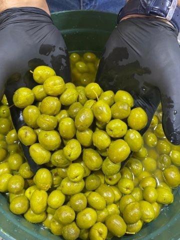 HATAY KIRMA ZEYTİN BÜYÜK BOY KOVA 13 KG